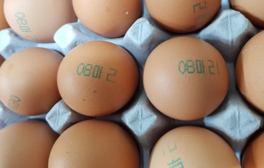 계란 난각번호 예시
