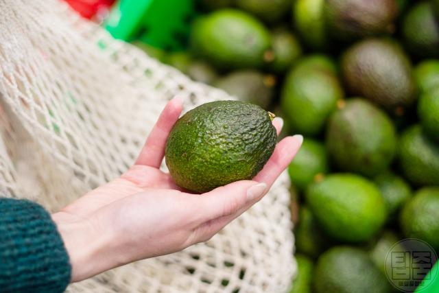 맛있는 아보카도 고르는법,좋은 아보카도 고르기 먹는방법,팁줌