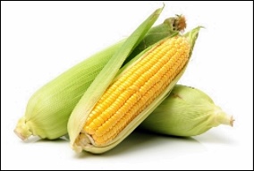 간암 예방 식습관 5가지