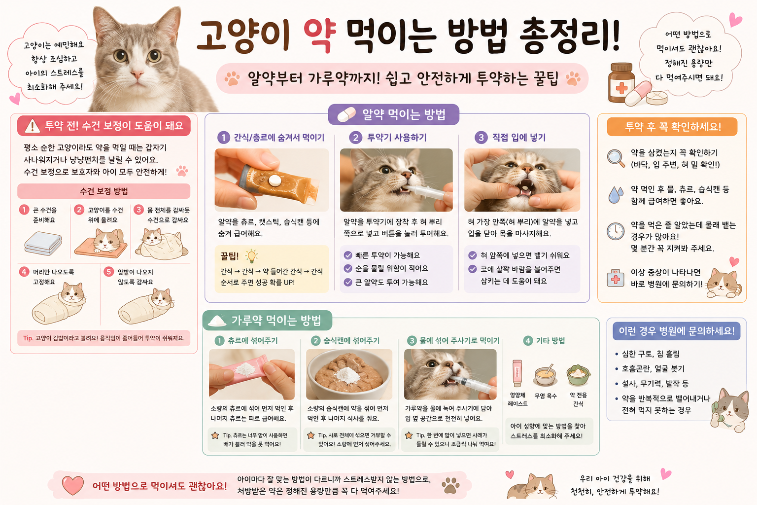고양이 약 먹이는 법