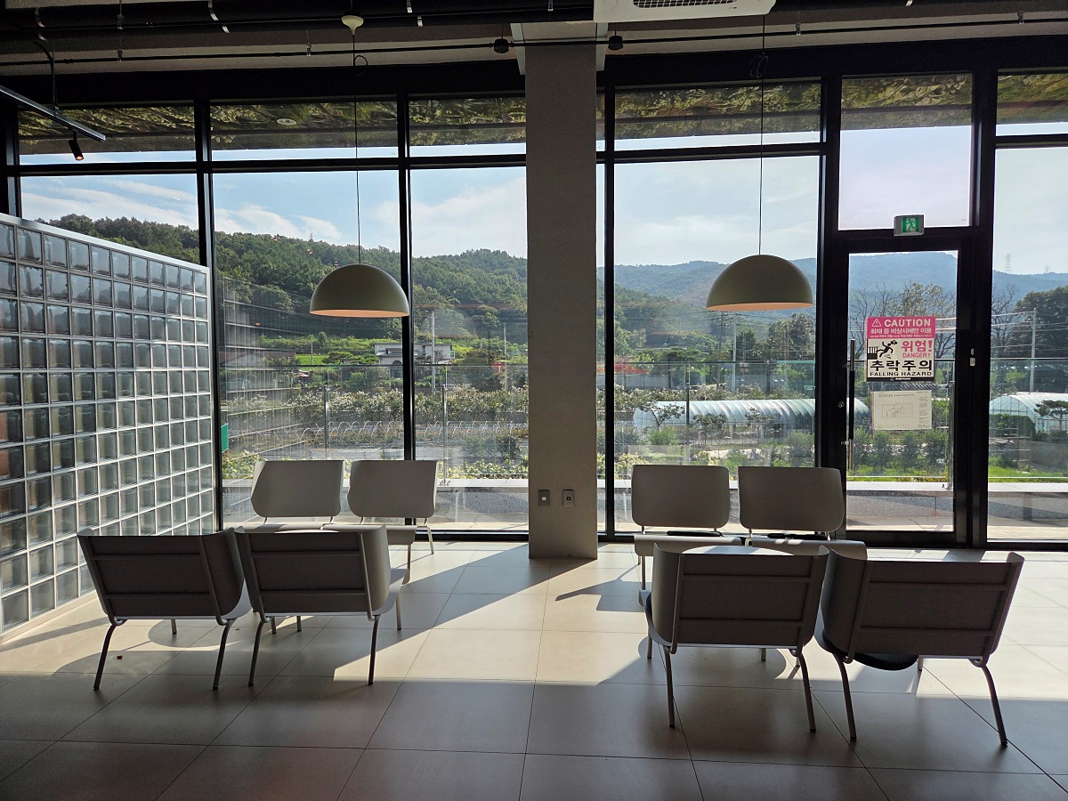 강화도 대형카페 두운리, 초록의 목수국 정원까지 즐기는 강화도 갈만한곳