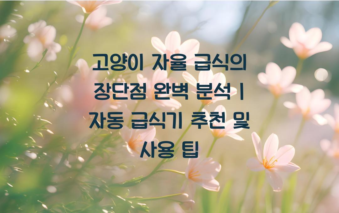 고양이 자율 급식의 장단점 완벽 분석