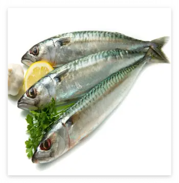 위궤양 원인 및 증상, 위궤양에 좋은 음식과 피해야 할 나쁜 음식