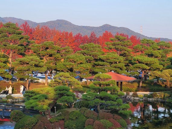 2024 베어트리파크 단풍축제 예매