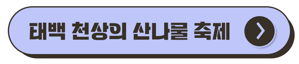 강원도 축제 일정