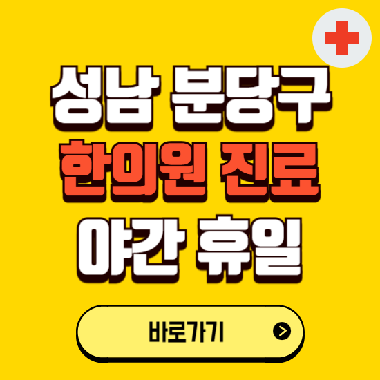 성남시 분당구 야간 휴일 한의원 한방병원 찾기 ❘ 24시 일요일 주말 연휴 응급진료 추천 잘하는 곳