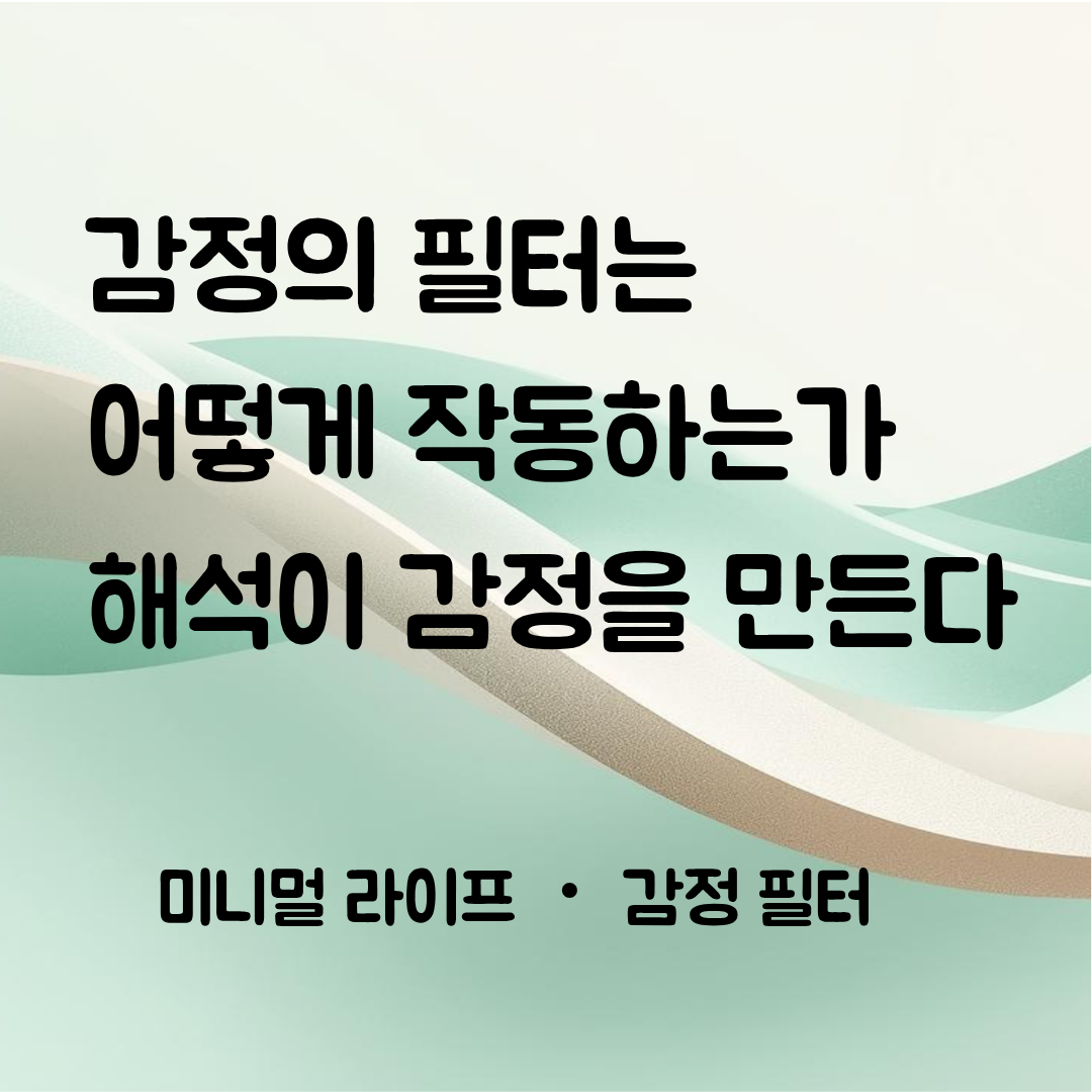 감정 필터는 해석을 통해 감정이 반응으로 전환되는 과정