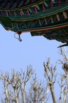 경복궁 교태전 예약