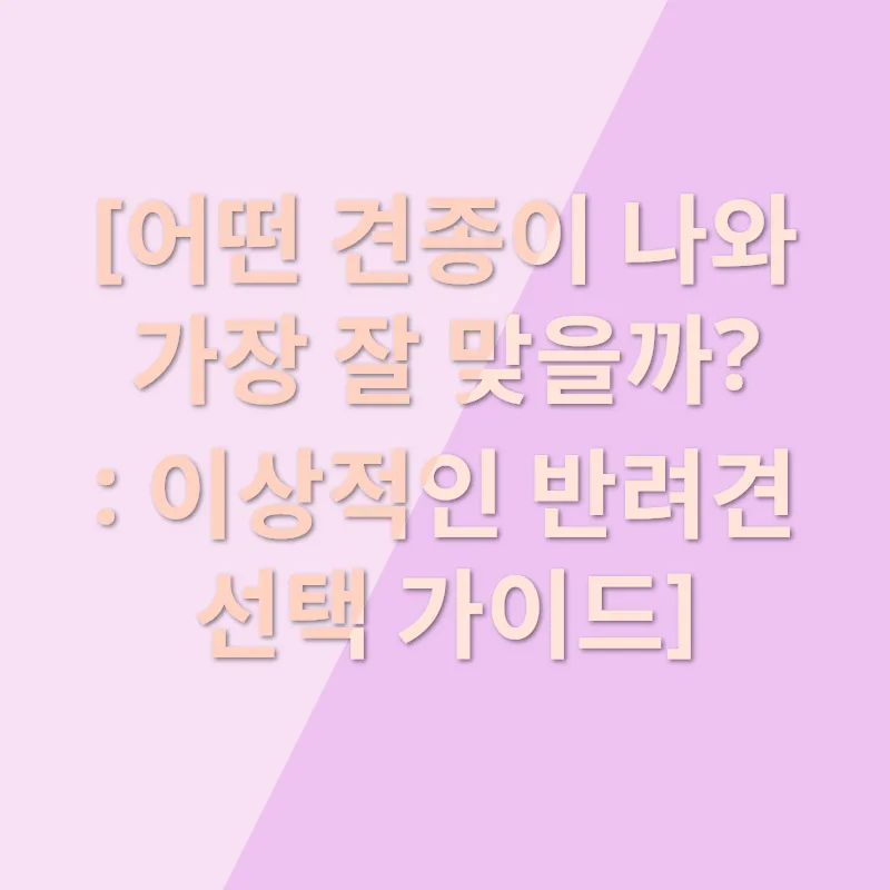 반려견 입양_1