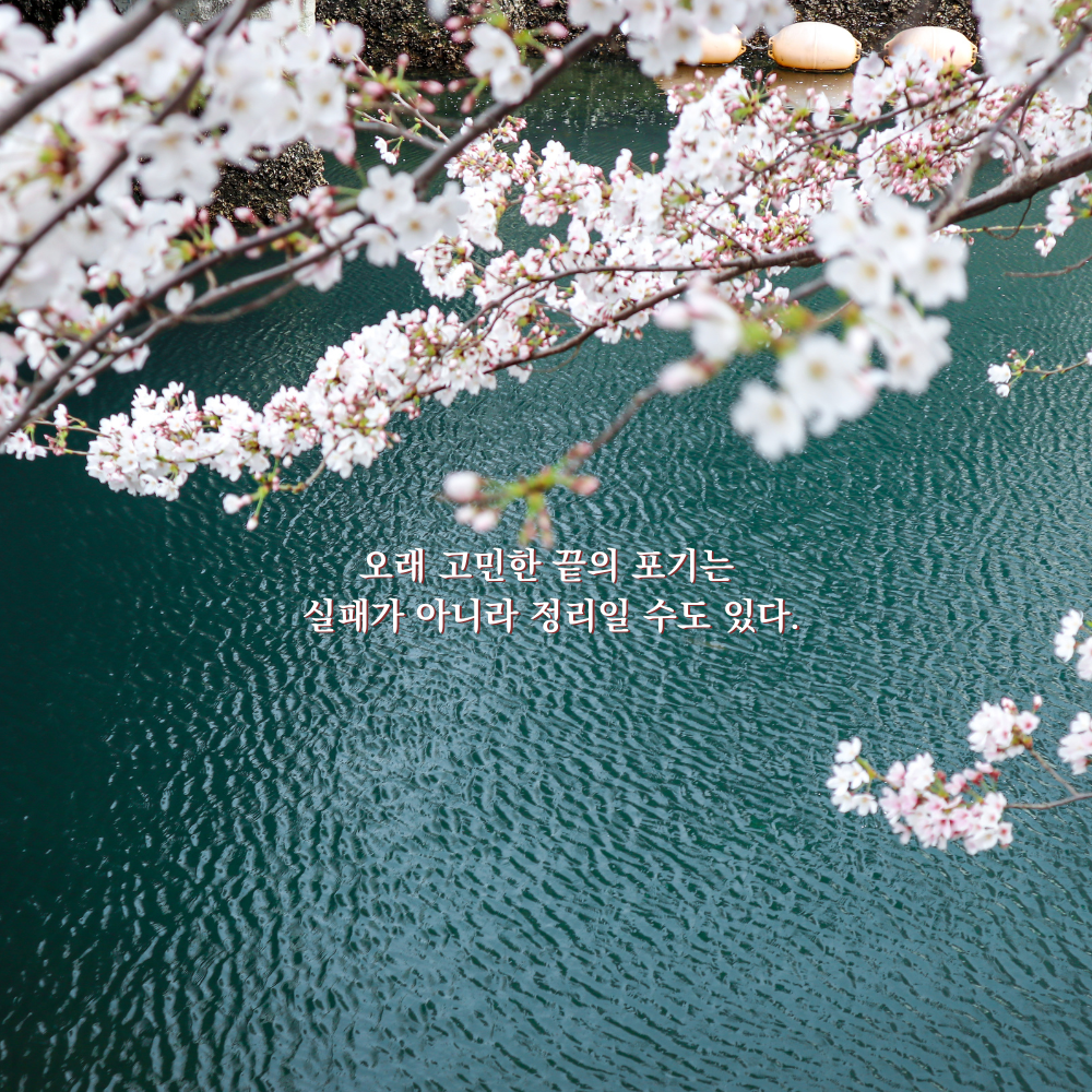 오래 고민한 끝의 포기는 실패가 아니라 정리일 수도 있다. - 감성 글귀 이미지