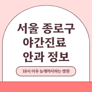 서울 종로구 야간진료 안과 병원 (18시 이후 늦게까지하는 병원)