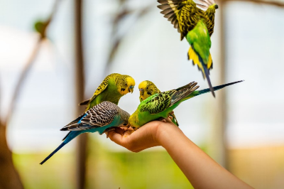경주 여행 사진