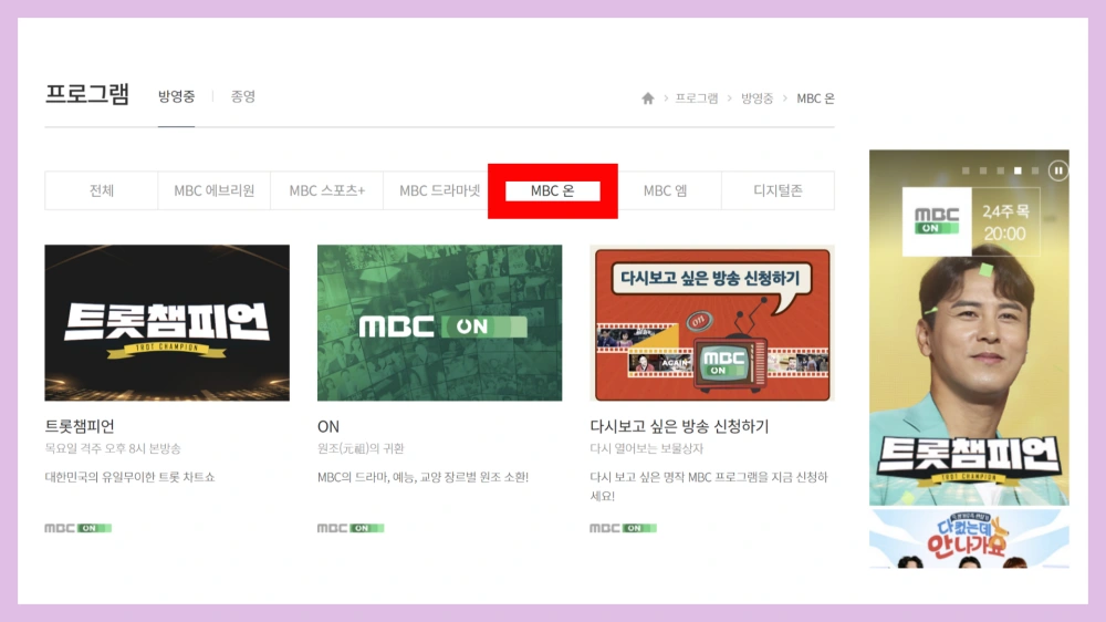 김수미-추모-특집 방송