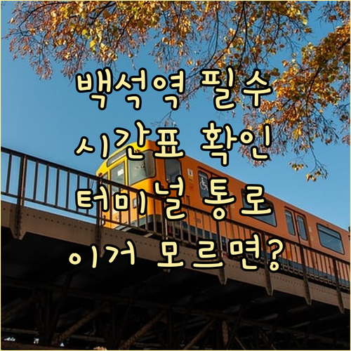 백석역 지하철 이용 정보 시간표와 터..