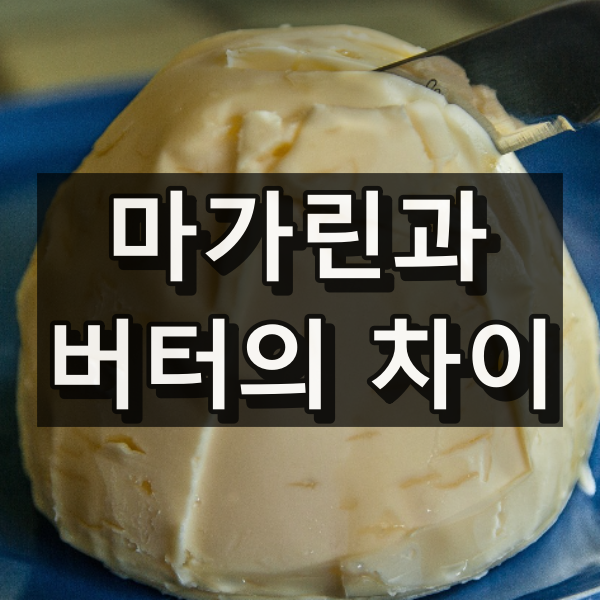 마가린과 버터의 차이 정리