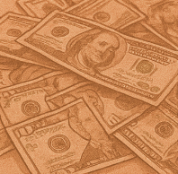 민생회복 정부 지원금 소비쿠폰