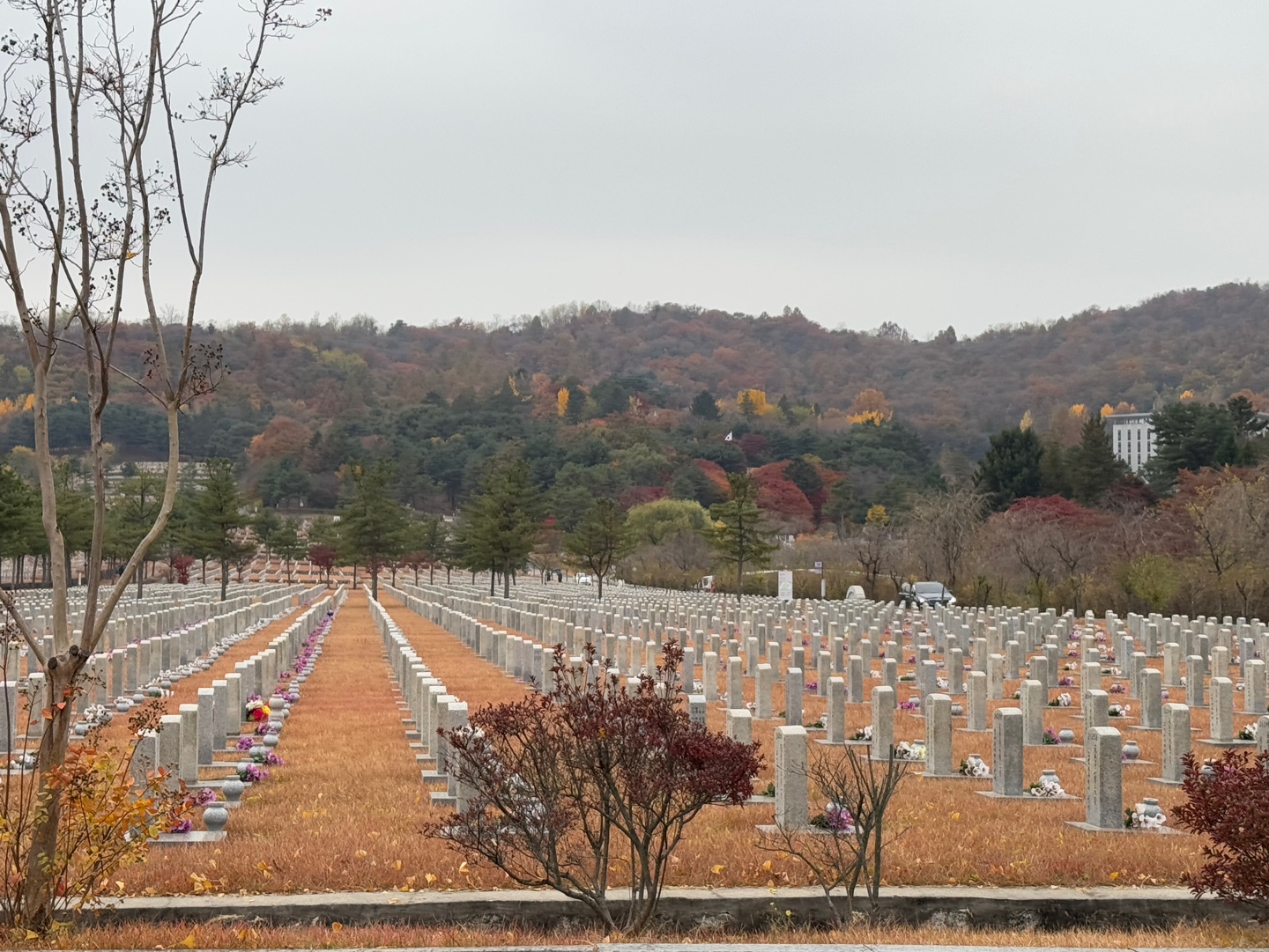 국립현충원