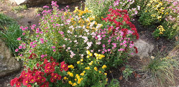 가평 가볼만한곳 BEST 7