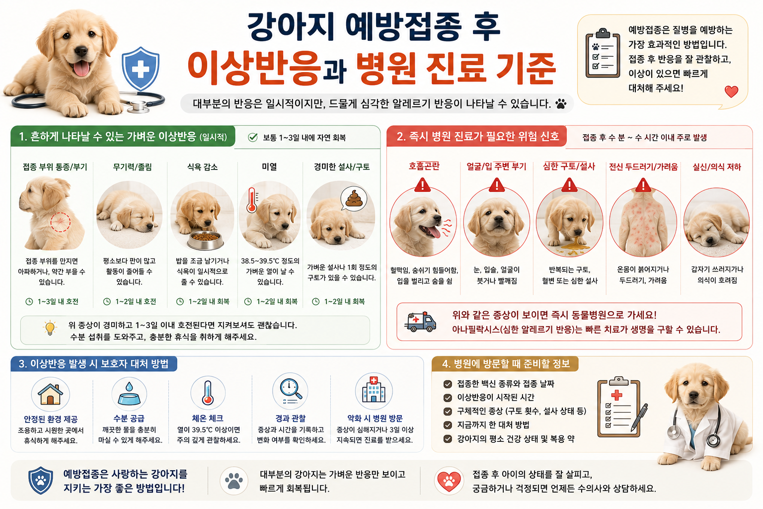 강아지 예방접종 후 나타날 수 있는 정상적인 이상반응과 즉시 병원 진료가 필요한 위험 신호 비교 이미지