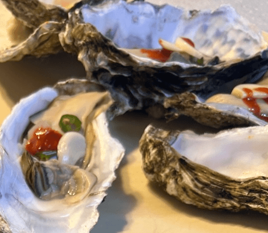 [6시 내고향] 고성 삼배체굴 여름굴 3배체굴 택배주문 판매 복만수산