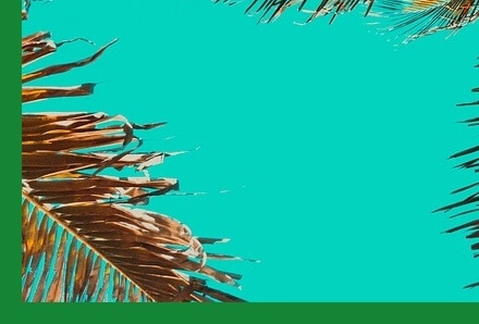 여름철건강관리