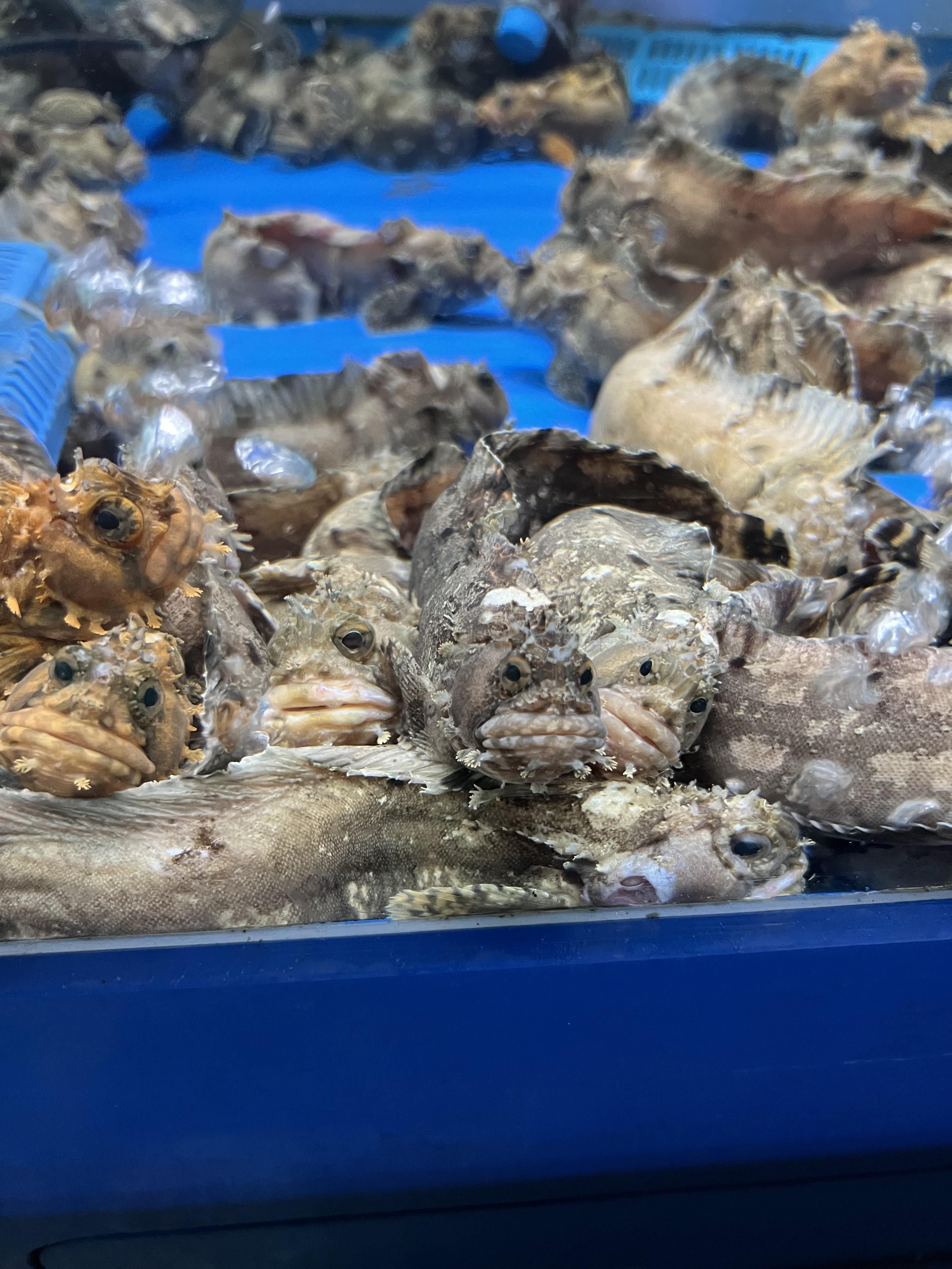 바다회사랑