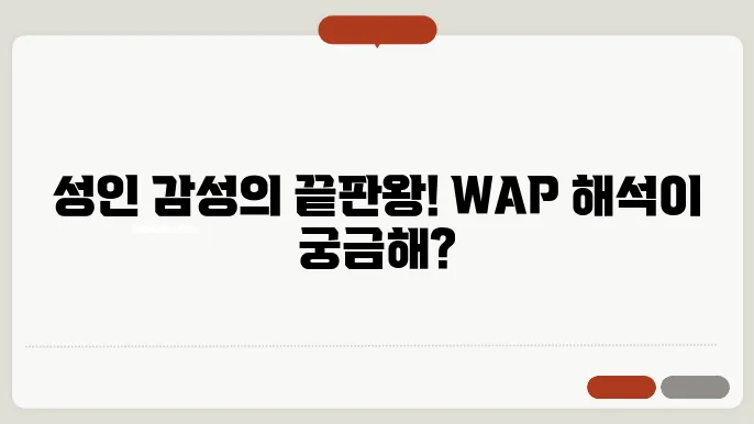 카디비 WAP 가사 해석
