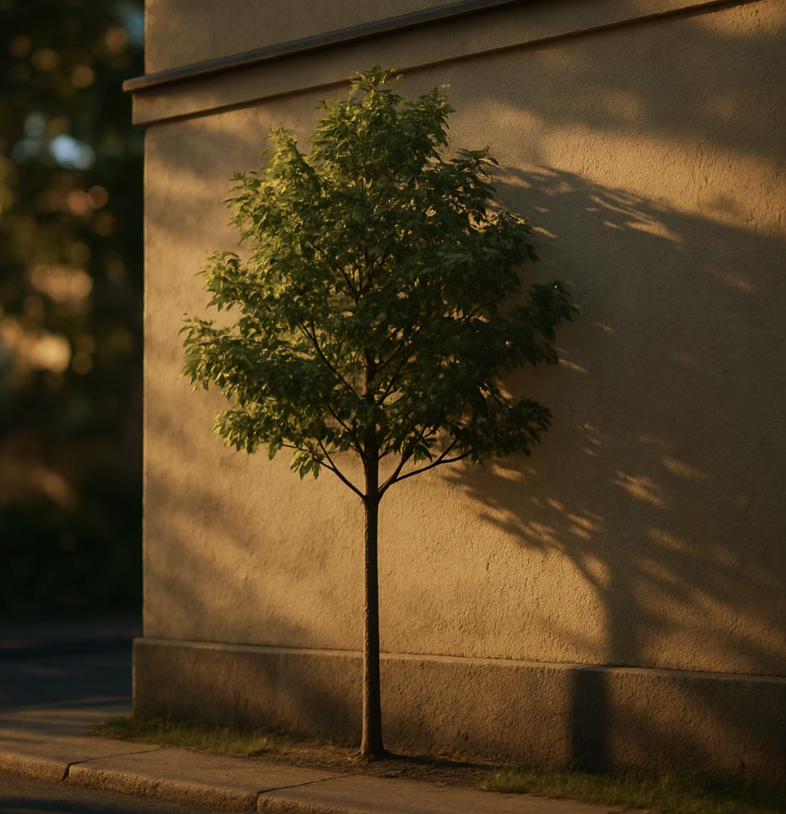 성공의 두 번째 조건&amp;#44; &amp;#39;자리&amp;#39;