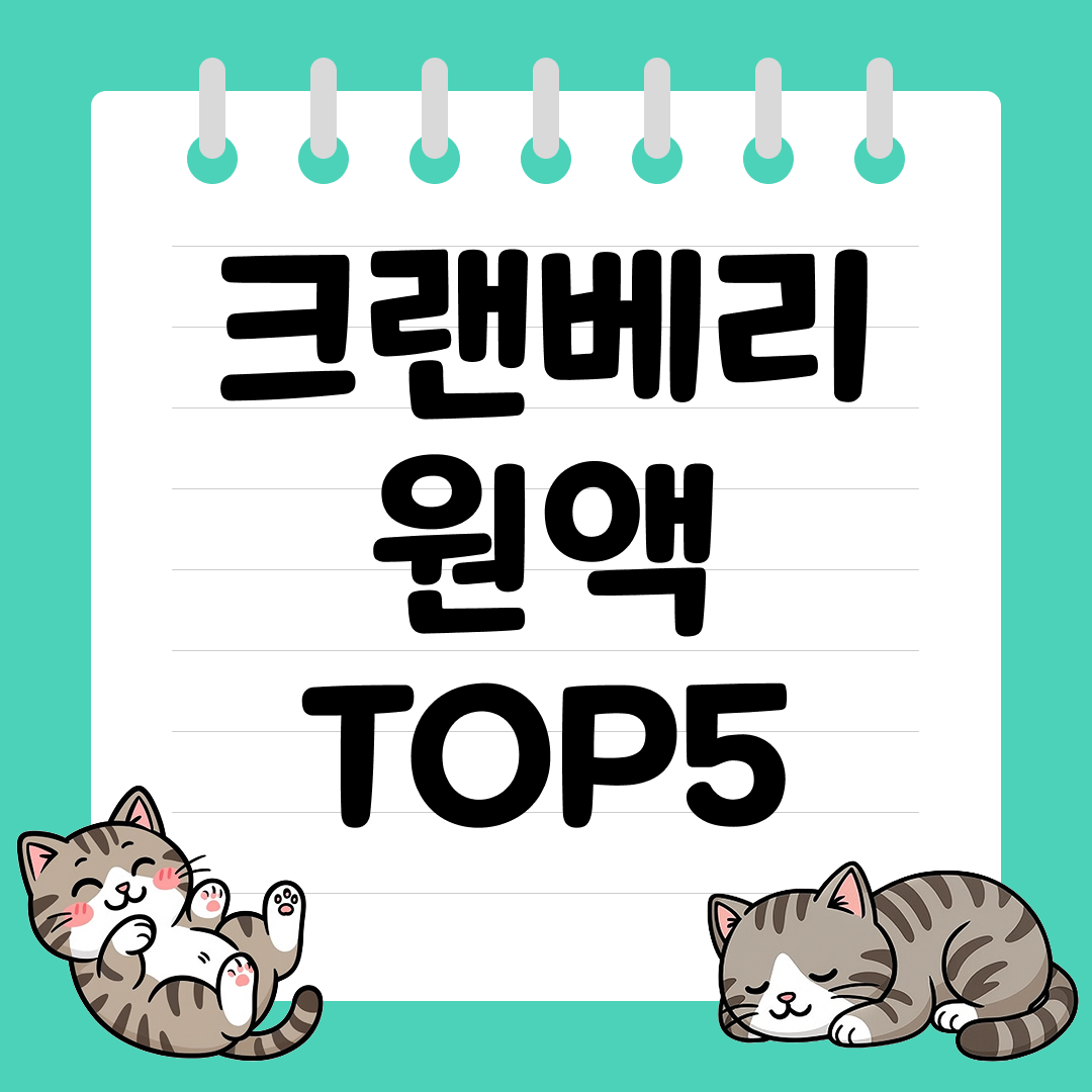 면역력 강화에 좋은 크랜베리 원액 추천 순위 TOP5