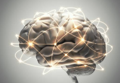 두뇌 기능 향상