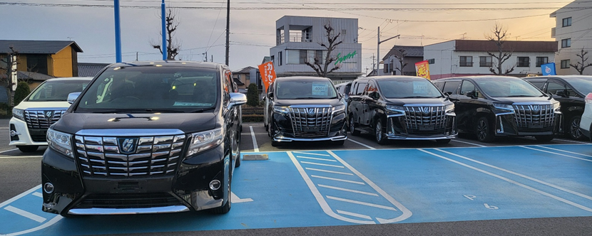 중고차매장에 서있는 토요타 알파드들