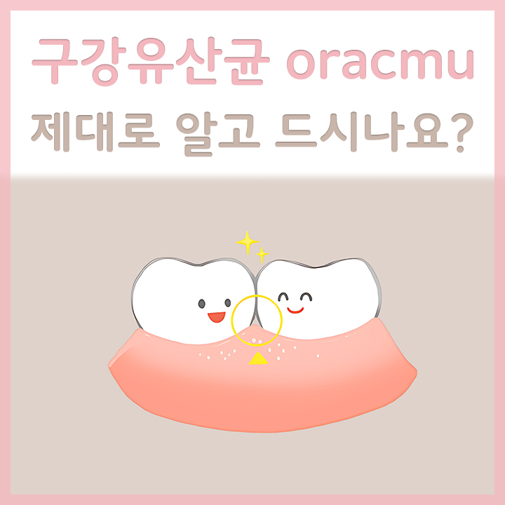 구강유산균-oracmu