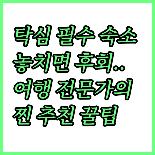 이스탄불 여행 전문가가 추천하는 탁심..