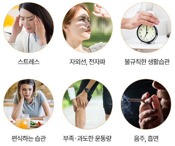 솔티스 프로폴리스 프로