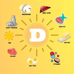비타민D가 풍부한 음식과 햇빛을 보여주는 일러스트