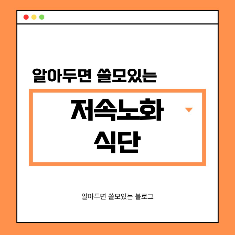 저속노화식사법 제대로 알아보기 저속노화식단 추천