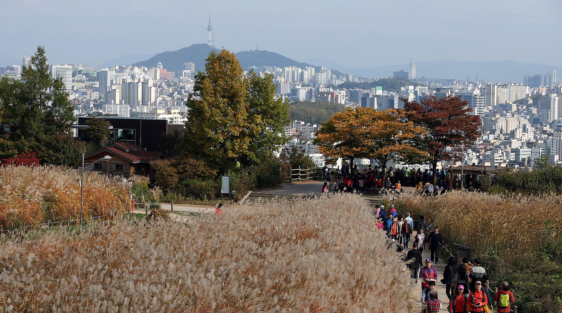 하늘공원 억새길 너머로 보이는 서울 시내와 남산타워
