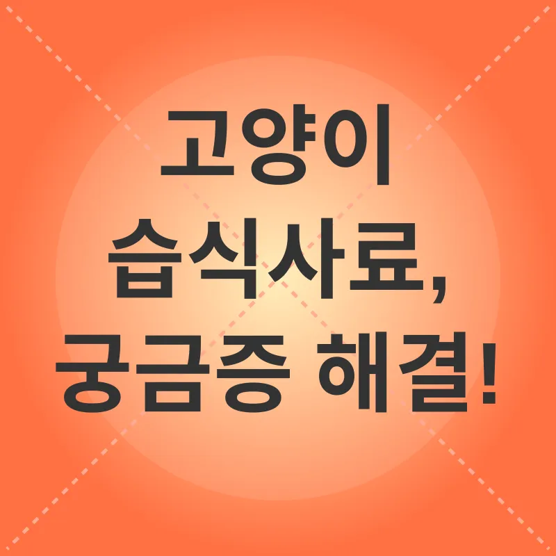 고양이 습식사료_4