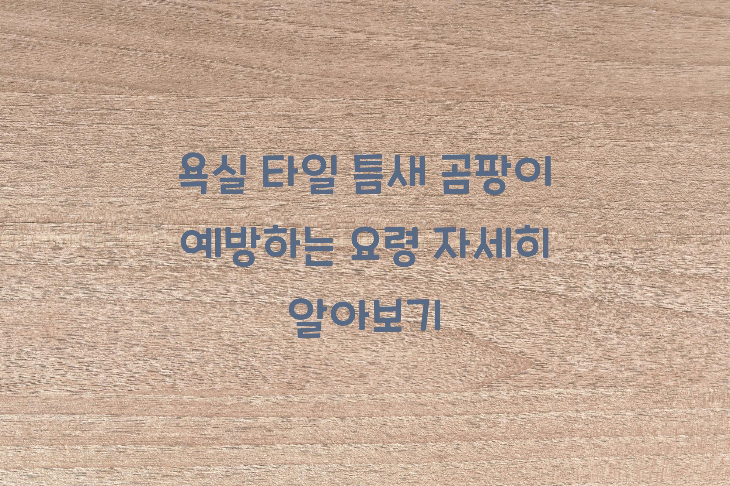 욕실 타일 틈새 곰팡이 예방하는 요령