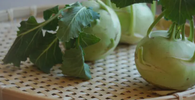 코흐라비 관련 사진