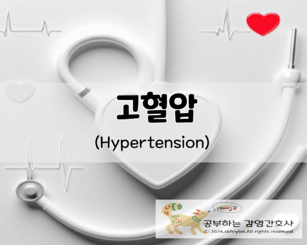 고혈압 환자 필수 식품, 혈압 관리에 효과적인 음식 추천, 혈압 조절을 돕는 5가지