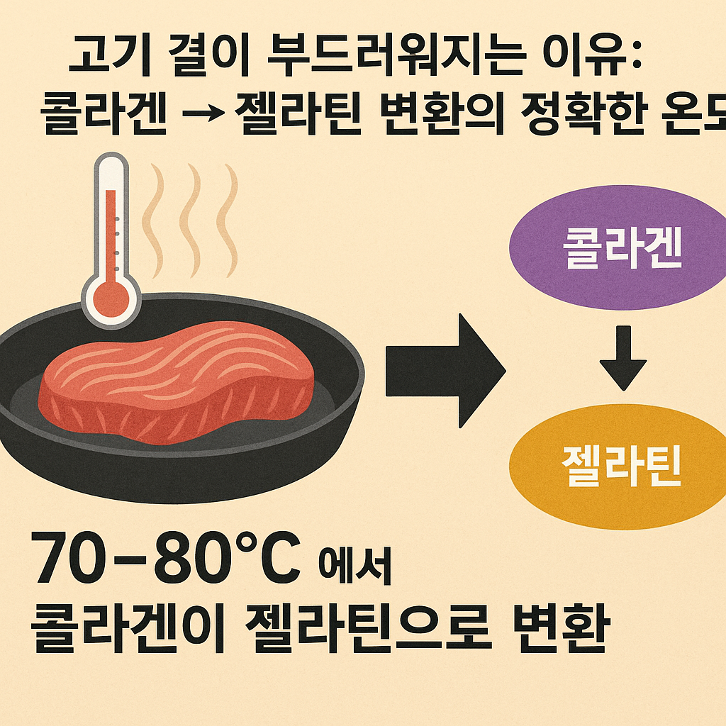 고기 결이 부드러워지는 이유