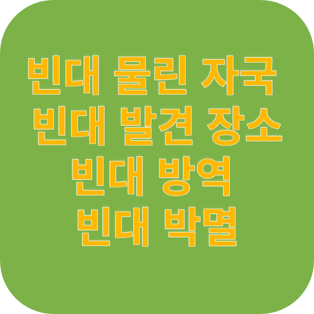 빈대 물린 자국 빈대 발견장소 썸네일