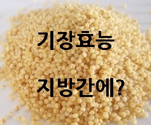 기장 효능