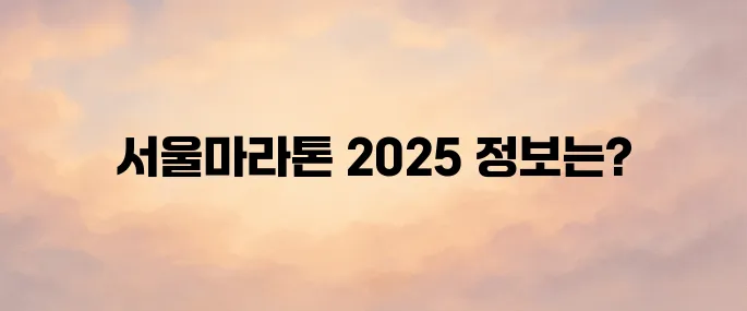 서울마라톤 홈페이지 바로가기│2025 대회 일정·참가 신청 안내