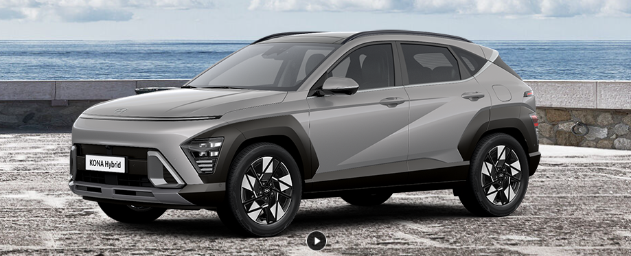 사이버 그레이 메탈릭 (Cyber Gray Metallic)