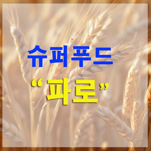 파로 곡물 슈퍼푸드 열풍! 효능 및 먹는 방법