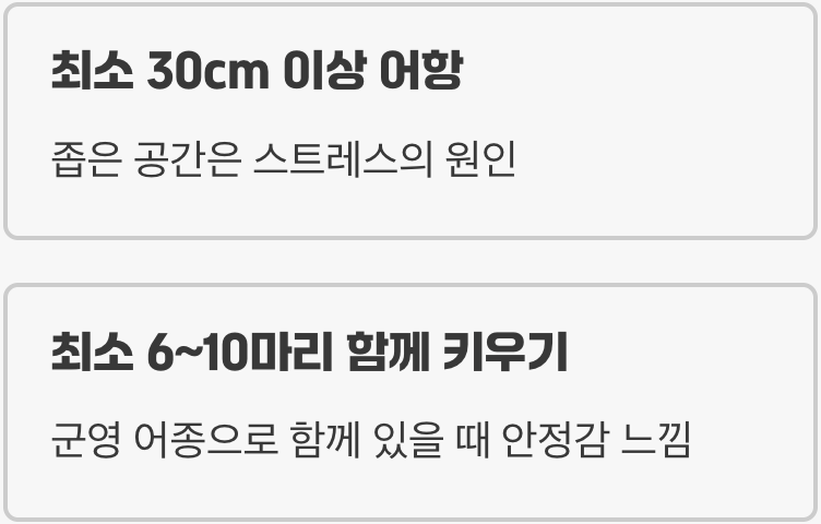 작은 어항? NO! 그들을 위한 '운동장'