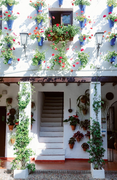 코르도바 파티오 축제1