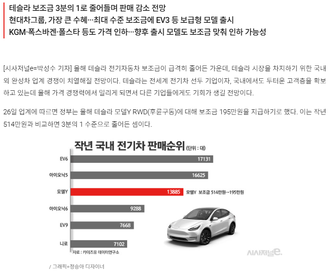 테슬라 배당금